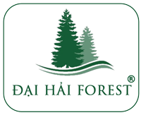 Dai Hai Forest